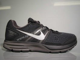 Nike Air Pegasus +29