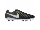 Nike Tiempo Ligera IV FG