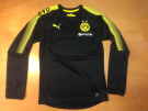 Puma BVB Training Sweat