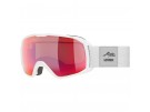 uvex xcitd CV Ski&Snowboardbrille 